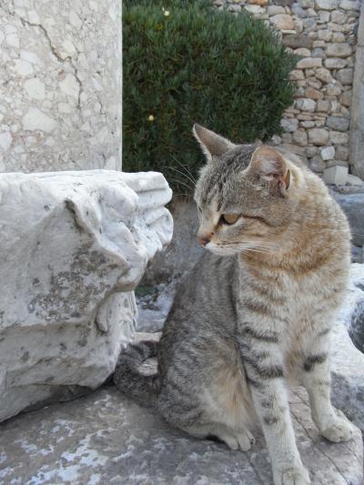 はじめてのトルコ エフェソス