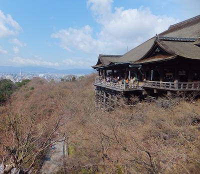 嵐山旅行２日目(最終日)　清水寺