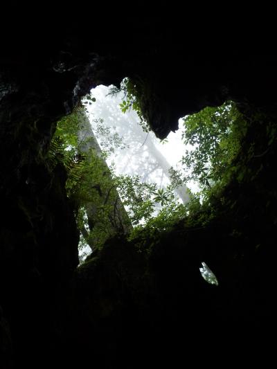 梅雨の鹿児島・屋久島旅行