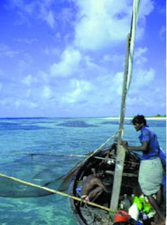 モルディブ-住民の暮すフィシャマン・アイランドの旅ー