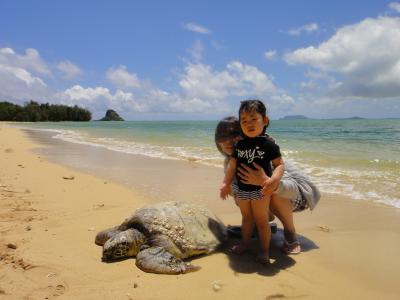 2歳の子連れハワイ旅行 2011年 GW