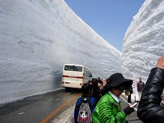 雪の大谷　１７ｍの雪の壁
