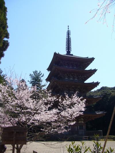 京都の桜　醍醐寺＆ちょっぴり散策
