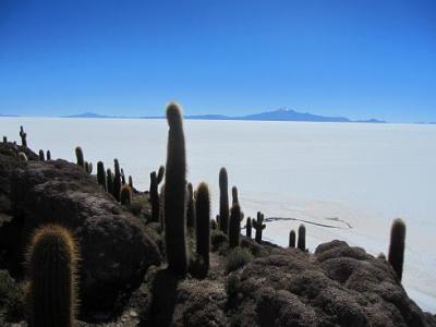 GWペルー＆ボリビア旅行：ウユニ塩湖編