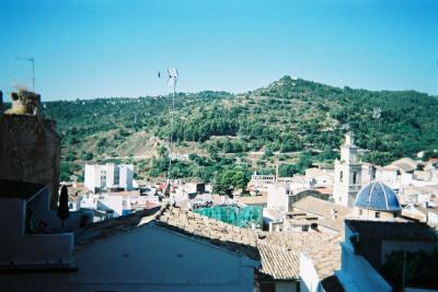 Tomatina 2010