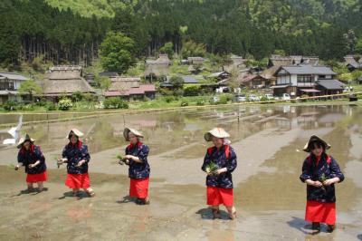 京都美山　かやぶきの里　お田植祭