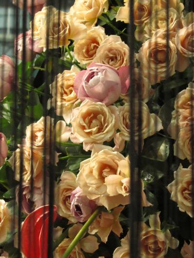今年2011年ももれなく国際バラとガーデニングショウ@（1）バラのトンネル「香りのローズアベニュー」とローズソムリエのバラあそび