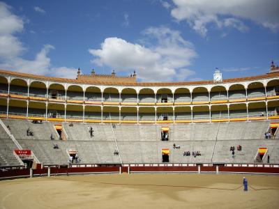 2011年5月スペイン・マドリッド　レアル・マドリード（サッカー）＆闘牛観戦の旅