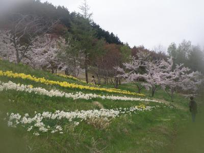 道南沿岸めぐり