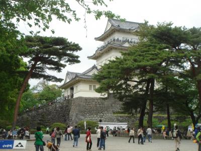 ２０１１ＧＷ⑨小田原城