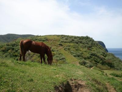 隠岐への旅(6/全6)～西ノ島