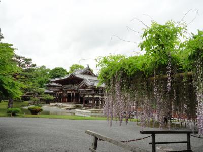 京都バスツアー①「～宇治平等院へ」