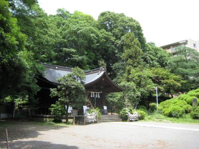 和光市 湧き水散歩