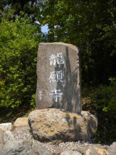 龍願寺、色々な花が咲くお寺です。