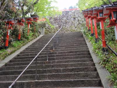 靴擦れしても歩く！京都