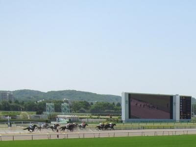 子どものための東京競馬場