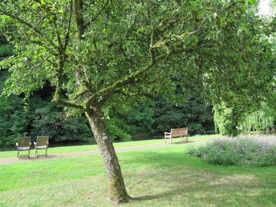 46》　夏。　イギリスの旅　4日目。　バイブリー・コート・ホテルを散策　　2009/7/14