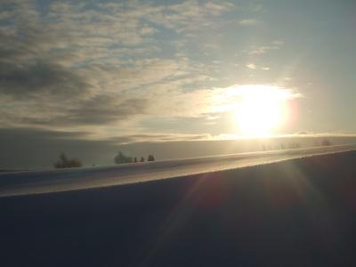 ２００９年冬　北の国へ　６日目　クロスカントリースキーで歩く美瑛の丘