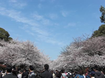 上野＆飛鳥山−お花見