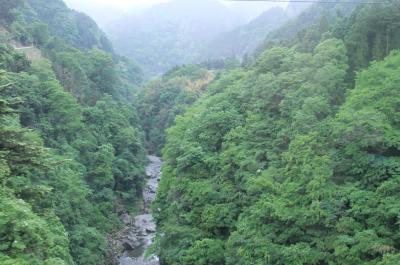 秩父神社参拝を兼ねて