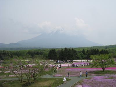 2010年5月　東伊豆・富士芝桜の旅　Part2