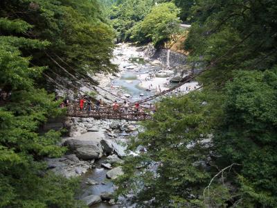 大好きな故郷、徳島ぶらり。