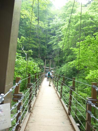 自然満喫高尾山とろくざん亭の昼食