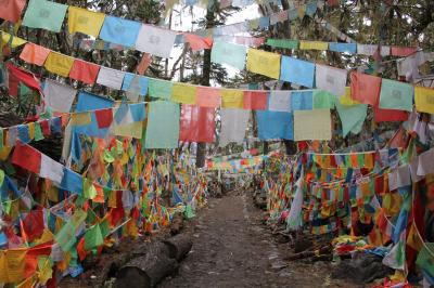 東チベット　デチェンの旅（４）～梅里雪山Ⅲ・西当→雨崩村～