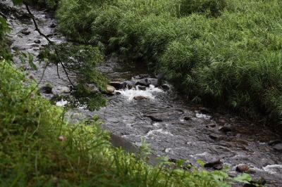 茨城百景石碑巡りの旅（１９）　　花園山と浄蓮寺編 