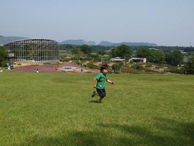 ２０１１　花と緑の楽園　茨城県　フラワパークー２