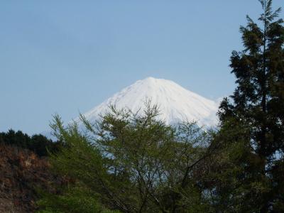 自転車でウロウロ…③さった峠に…