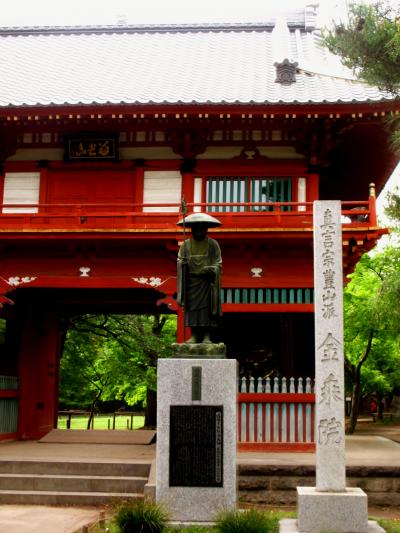 清水公園a  慈光山金乗院　ボタンの花咲く境内　☆劫初の桜も元気に