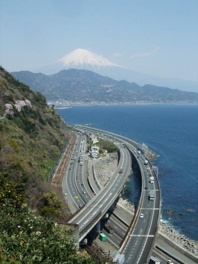 自転車でウロウロ…④桜咲くさった峠にて