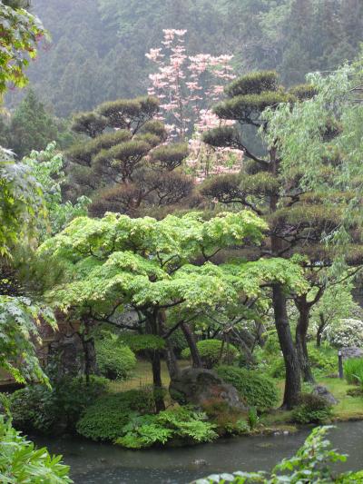 温海温泉と酒田本間家