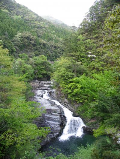 国道425号線沿いの滝（高滝・大泰の滝・尾合戸滝etc.）◆奈良県十津川村の滝めぐり【その４・最終章】