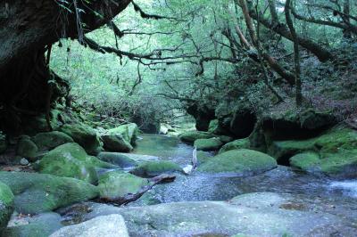 屋久島一人旅