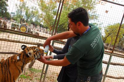 世界一怖い　　ルハン動物園&ブエノスアイレス動物園