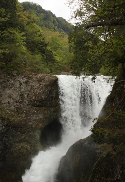 新緑・芽吹きの信州「奥志賀高原」