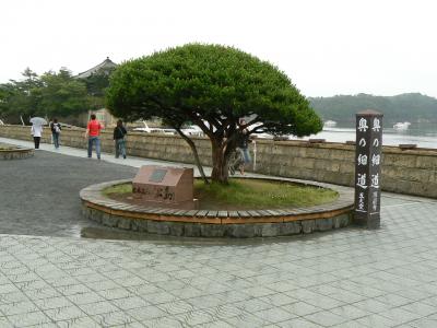 【宮城県（松島）】旅情をさそう松島の風　日本三景「松島」