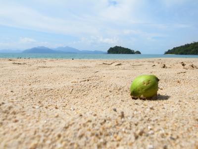 プチ・ハネムーン ランカウイ島の大自然でのんびり