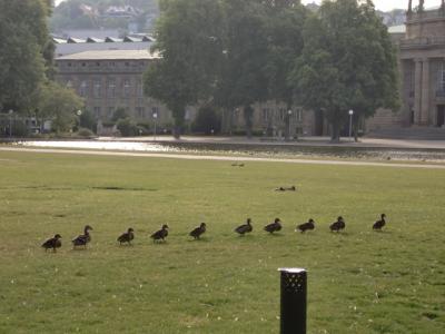 観劇旅行はやめられない　ハンガリー～ドイツ2011年5月⑦