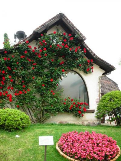 1st wedding anniversary ② ～河口湖編～