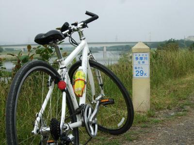 自転車でウロウロ…２０１１．０６．０５多摩川へ②上流へ