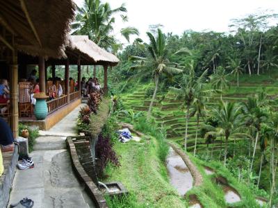 のんびりバリ旅行② ~ウブド・ライステラス・ブサキ寺院巡り~