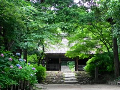 雨にぬれて・・・周防阿弥陀寺(山口県防府市）