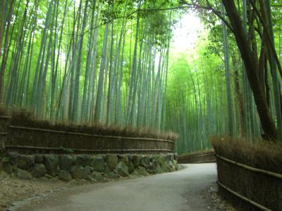 京都一人旅