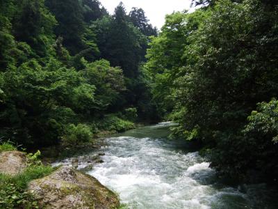 新緑の鶴仙渓と山中温泉