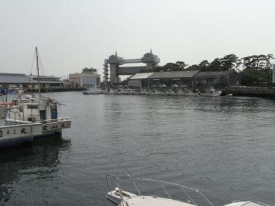 沼津港に行ってきました