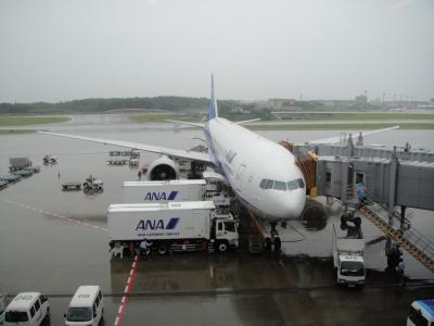 2011 Paris，モンサンミシェル，F1モナコGP観戦の旅　（8日目②／ANAファーストクラスで帰国編）