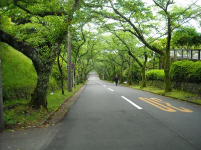 初夏の伊豆高原をドライブする！